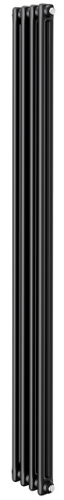 Стальной трубчатый радиатор 2-колончатый Royal Thermo Insignia C2180 - 04 секц. RAL9005m, боковое 1/2