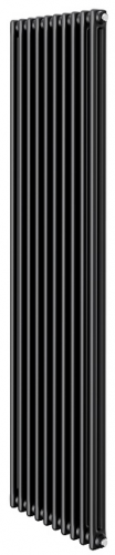 Стальной трубчатый радиатор 2-колончатый Royal Thermo Insignia C2180 - 10 секц. RAL9005m, боковое 1/2