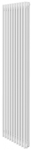 Стальной трубчатый радиатор 2-колончатый Royal Thermo Insignia C2180 - 10 секц. RAL9016, боковое 1/2