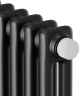 Стальной трубчатый радиатор 2-колончатый Royal Thermo Insignia VC2180 - 08 секц. RAL9005m, нижнее 1/2