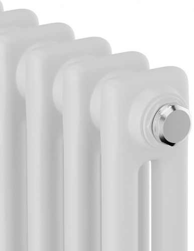 Стальной трубчатый радиатор 2-колончатый Royal Thermo Insignia VC2180 - 10 секц. RAL9016, нижнее 1/2
