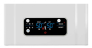 Настенный газовый котел ECA PROTEUS PLUS BLUE 24 HM NG