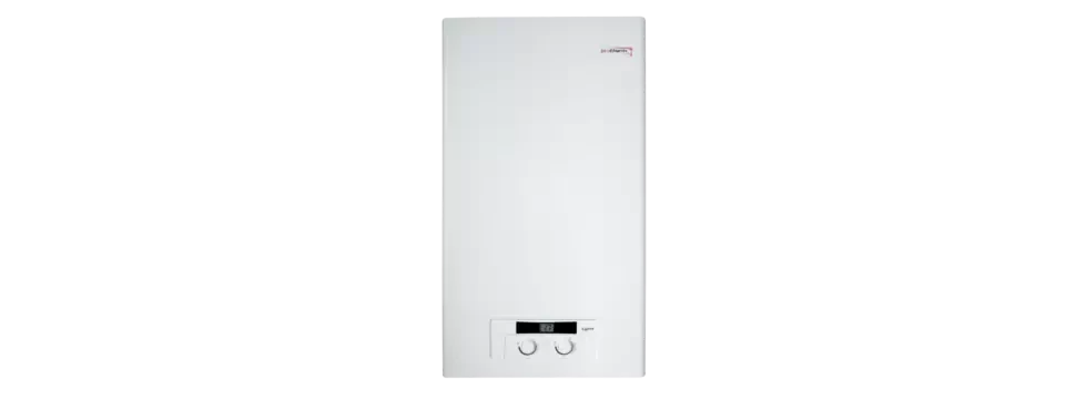 Настенный газовый котел Protherm Рысь НК 11